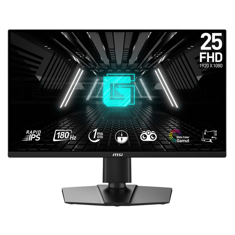 مانیتور ام اس آی مدل G255PF E2 سایز 24.5 اینچ